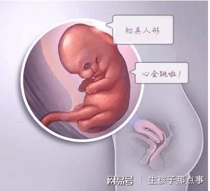 万级层流胚胎实验室
